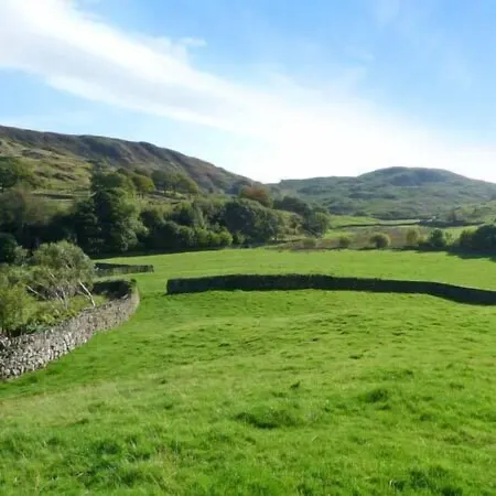 Copper Beech * Coniston