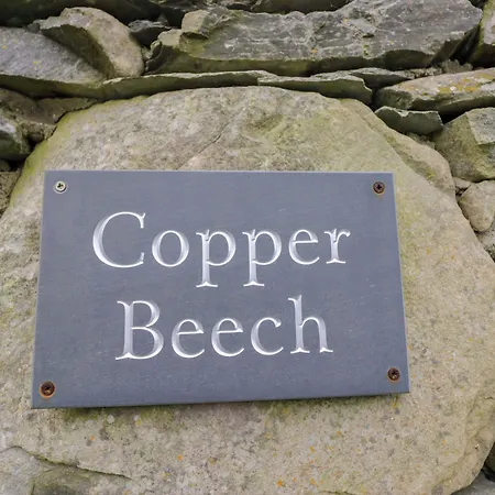 Copper Beech Nyaraló Coniston