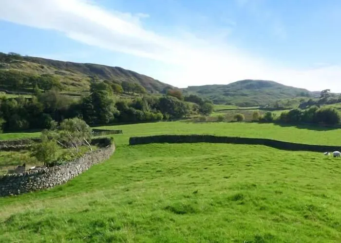 Copper Beech * Coniston