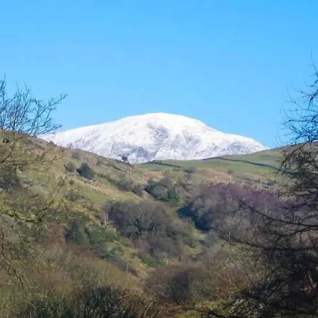 Copper Beech Feriehus *